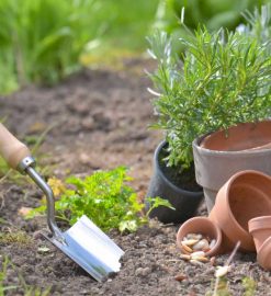 Comment jardiner et quoi cultiver ?
